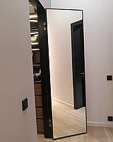 Двери с зеркалом, фото 1
