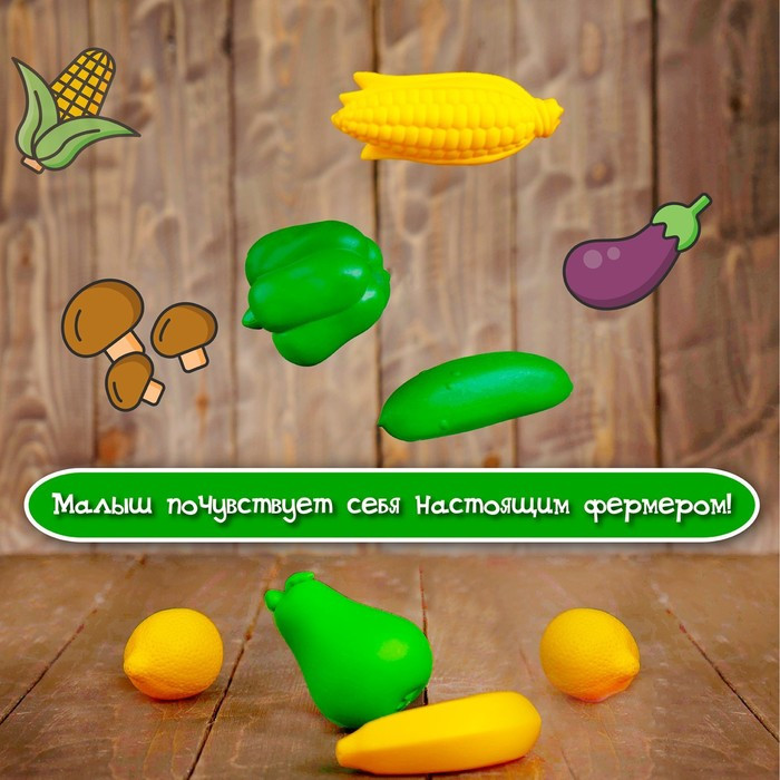 Набор для сортировки «Разноцветный урожай», по методике Монтессори - фото 10 - id-p180503410