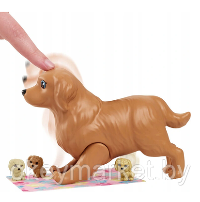 Набор игровой Barbie Новорожденные щенки HCK75, фото 2