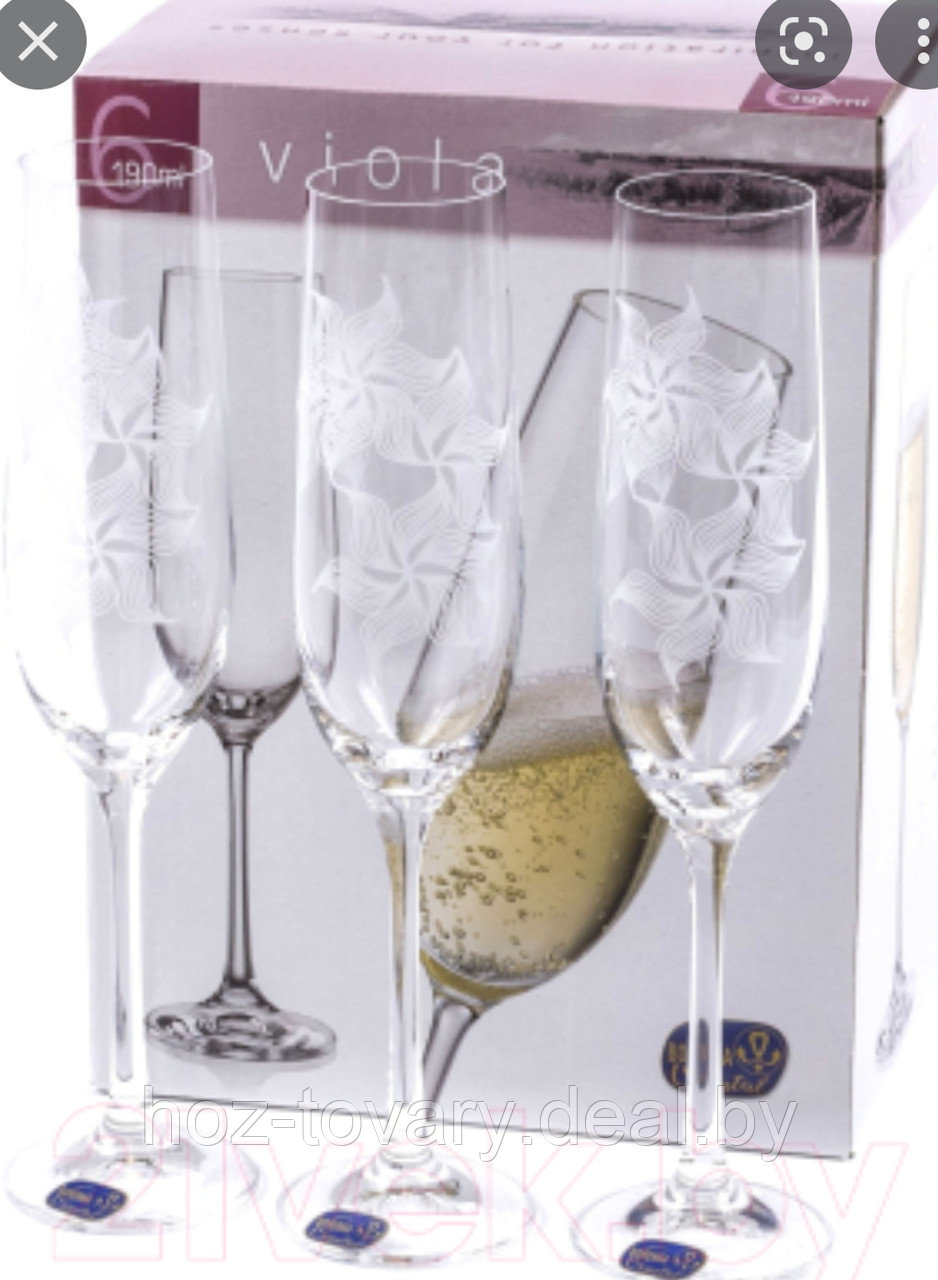 Набор чешских бокалов для шампанского декорированных Viola 6 шт. по 190 мл - фото 1 - id-p184246724
