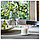 IKEA/  АДЛАД Ароматическая свеча в стакане, Скандинавский лес/белый, 20 ч, фото 2