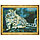 Алмазная живопись 40*50 см, дикий котенок, фото 3