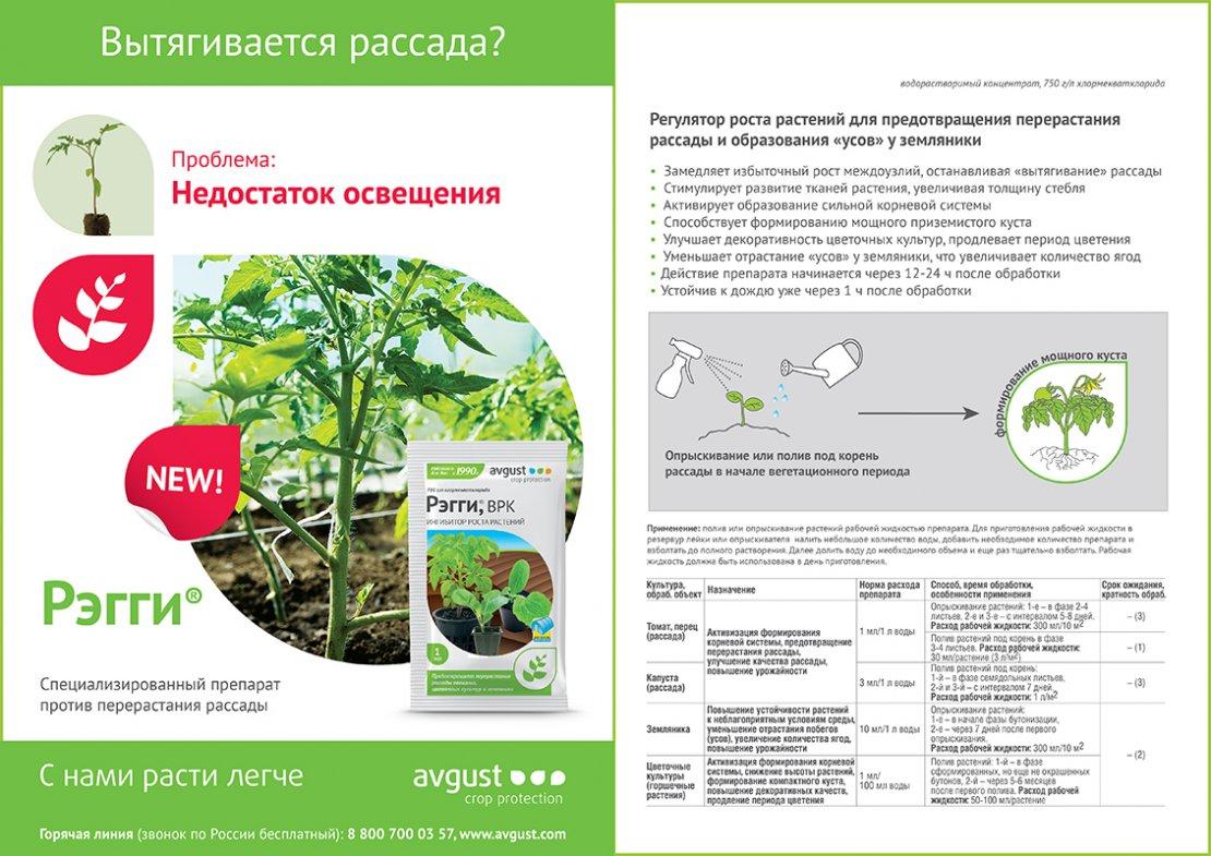 Регулятор роста растений РЭГГИ, 10мл - фото 2 - id-p184372043