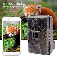 Фотоловушка Suntek HC-910 Pro, фото 7