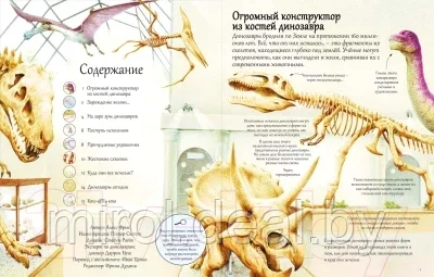 Развивающая книга Робинс Открой тайны динозавров. 65 секретных створок - фото 5 - id-p184424426