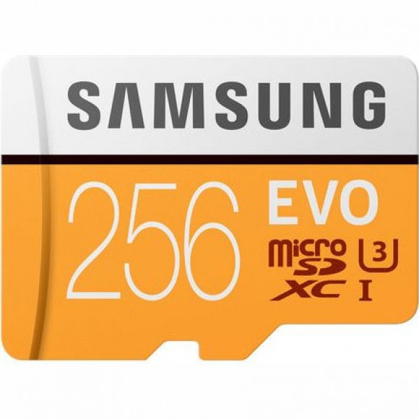 Карта памяти Samsung EVO microSDXC 256Gb UHS-I U3 100MB/s (R) - фото 1 - id-p184428888