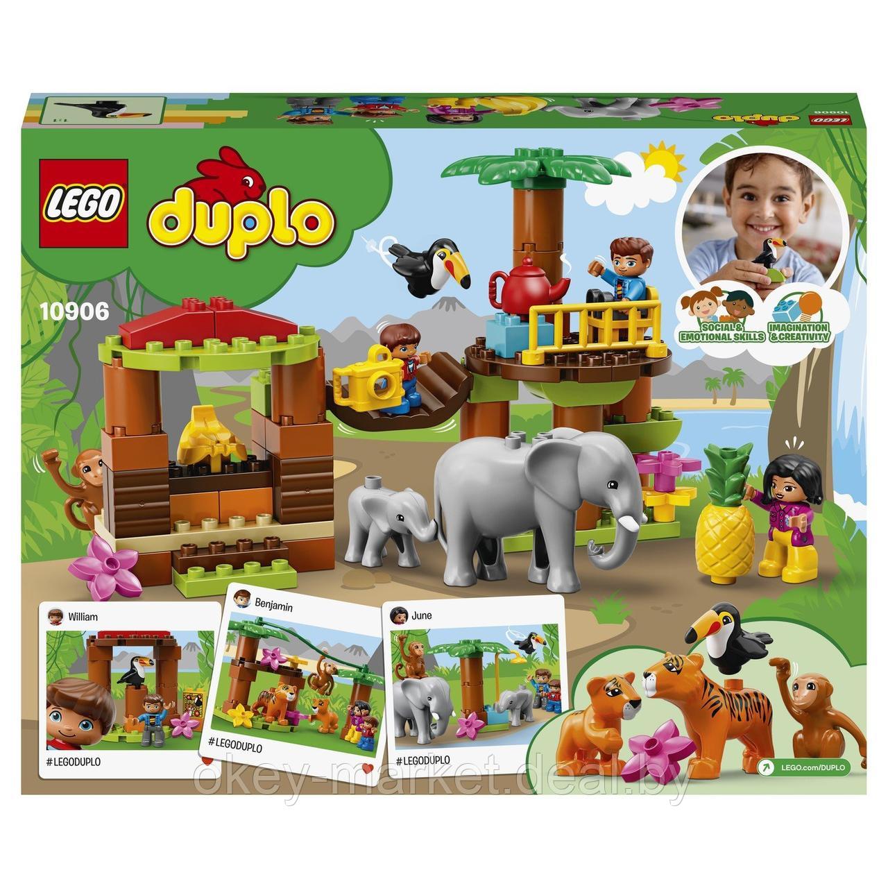 Конструктор Lego Duplo Тропический остров 10906 - фото 2 - id-p184430840