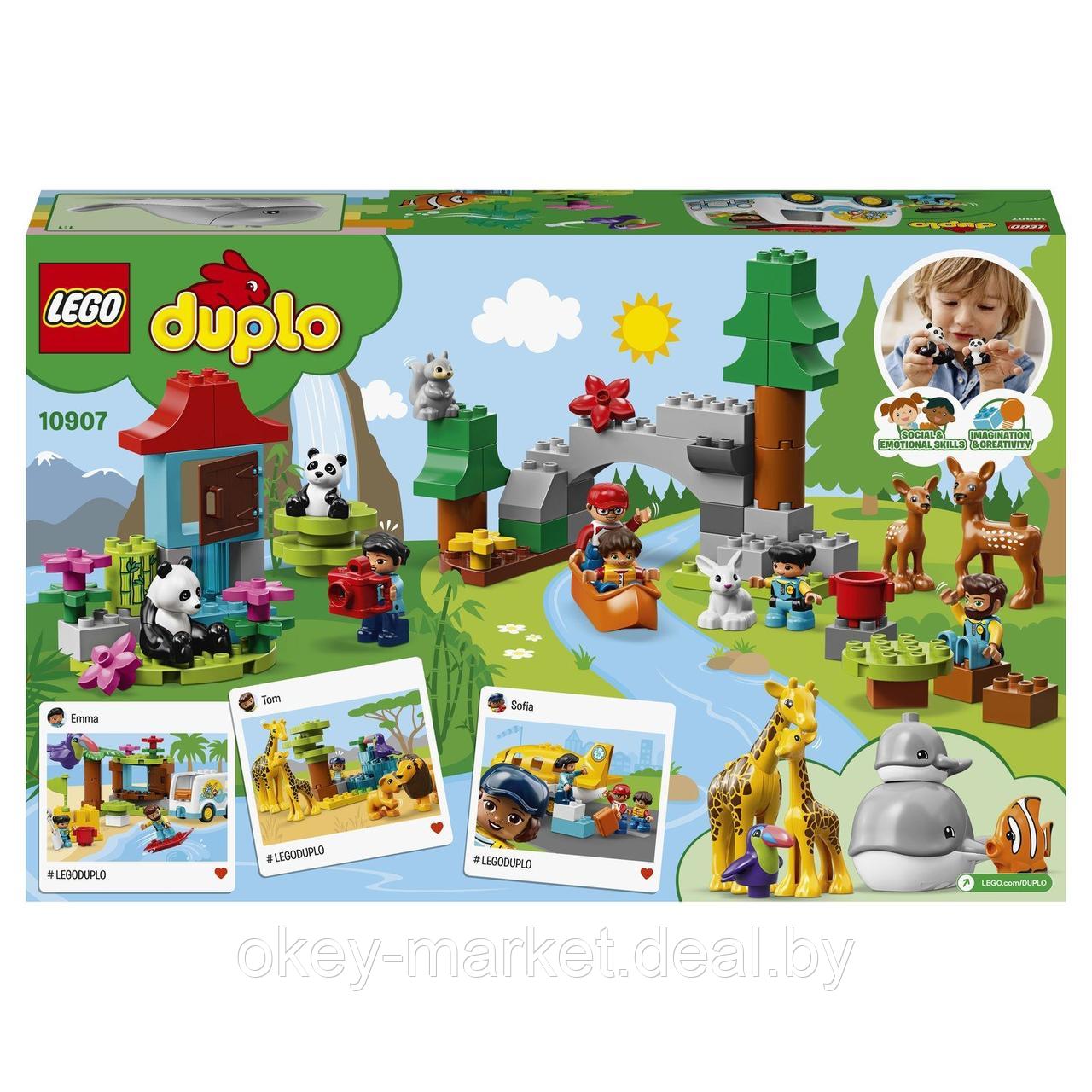 Конструктор Lego Duplo Животные мира 10907 - фото 6 - id-p184430876