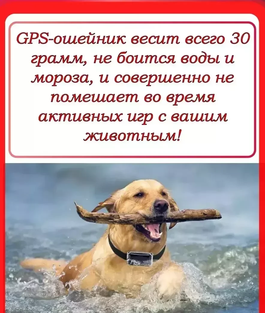 GPS-трекер G12P для собак и кошек с ошейником / с дистанционным Вкл.- Откл. - фото 6 - id-p184485060