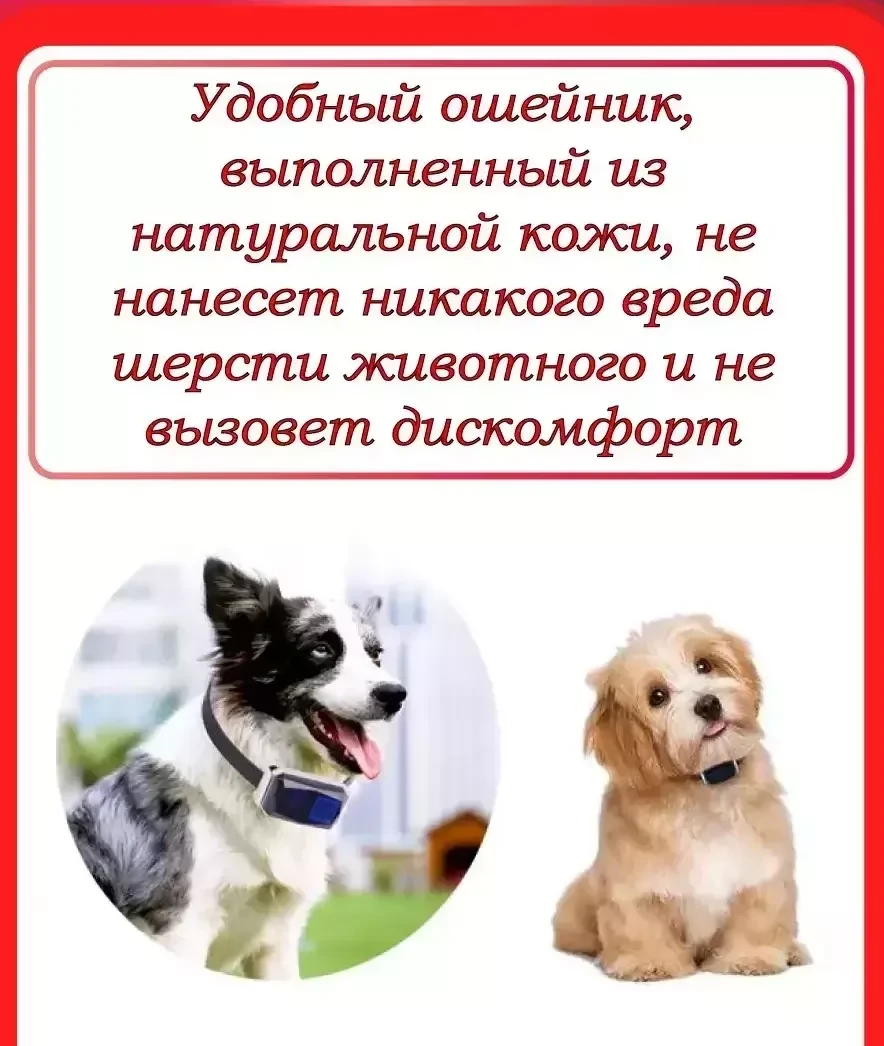 GPS-трекер G12P для собак и кошек с ошейником / с дистанционным Вкл.- Откл. - фото 7 - id-p184491977