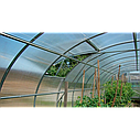 Теплица Урожай Сотка - 8 метров, фото 2