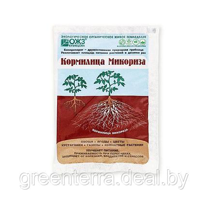 Удобрение "Кормилица Микориза" для корней универсальная, биопрепарат, 30 гр, фото 2