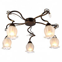 Потолочная люстра Arte Lamp Glamore A7449PL-5BR