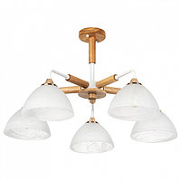 Люстра на штанге Arte Lamp Matthew A5032PL-5BR