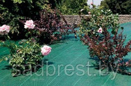 Агроткань зеленая ГРИН КОВЕР ПРО 105 гр/м2, ширина 3,3 м (метражом) Италия