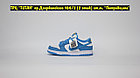 Кроссовки Nike Dunk SB Low Coast Blue White, фото 3