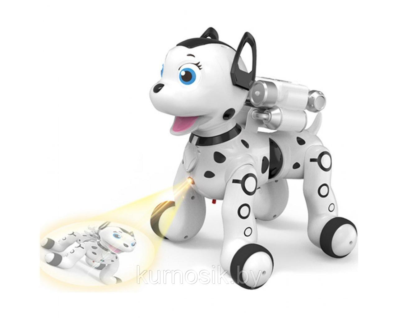 Собака робот интерактивная Далматинец на р/у с проектором ZYB-B2997-3 - фото 7 - id-p184675526