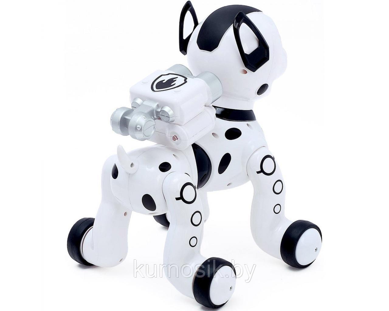 Собака робот интерактивная Далматинец на р/у с проектором ZYB-B2997-3 - фото 6 - id-p184675526