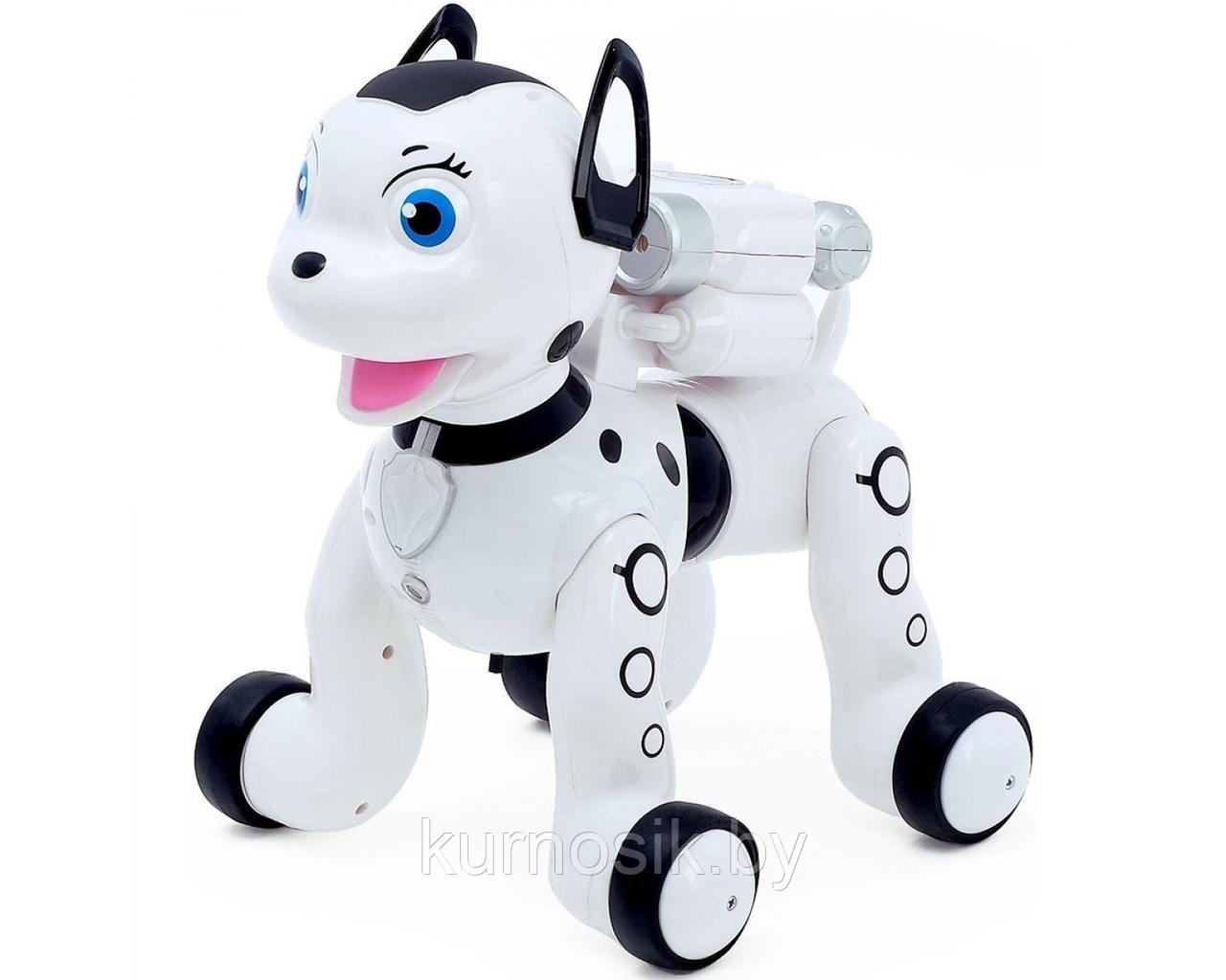 Собака робот интерактивная Далматинец на р/у с проектором ZYB-B2997-3 - фото 5 - id-p184675526