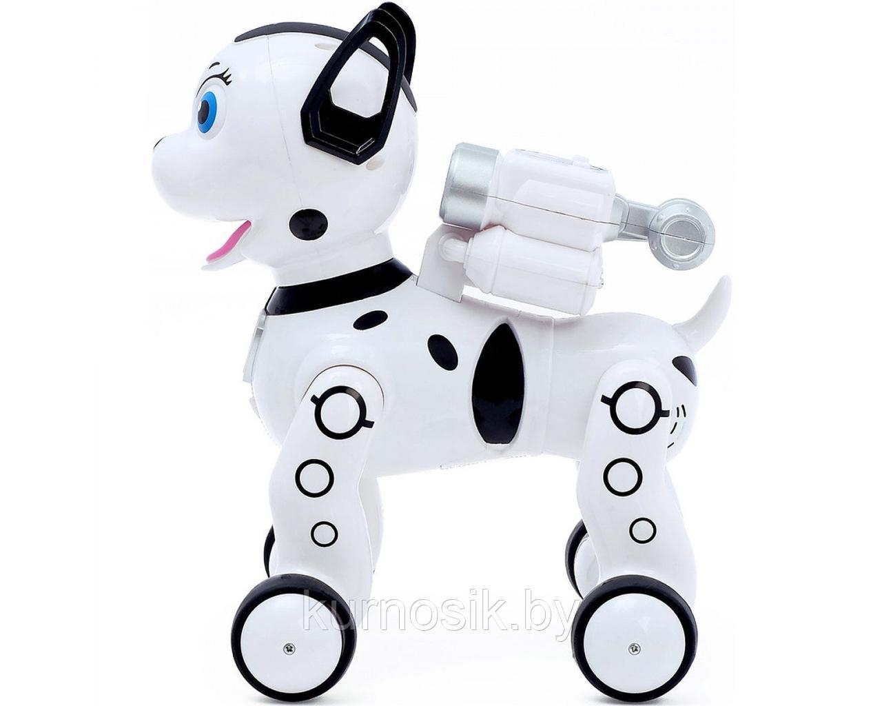 Собака робот интерактивная Далматинец на р/у с проектором ZYB-B2997-3 - фото 4 - id-p184675526