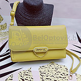 Женская сумочка - портмоне N8606 с плечевым ремнем Baellerry Young Will Show  Пудровая, фото 3