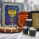 Подарочный набор Jack Daniels: фляжка 255 мл, 4 стопки и металлическая воронка M-39 Коричневый в золоте, фото 8