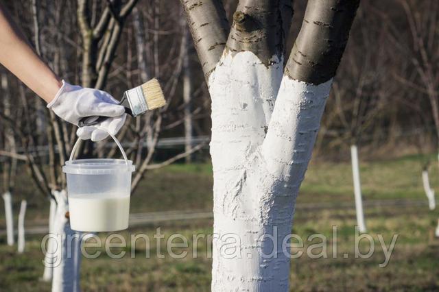Краска для садовых деревьев "АГРОУСПЕХ" водно-дисперсионная акриловая