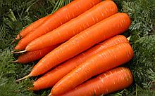 Морковь столовая свежая Каданс