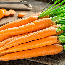Морковь столовая свежая Норфолк