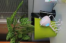 Увлажнитель-ароматизатор воздуха "Котик", белый, фото 2