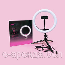 Прокат/аренда электронной лампы для съёмки видео (кольцевая) Led Ring Fill Light