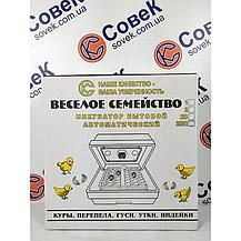 Инкубатор Веселое семейство 2ВПТ, фото 3