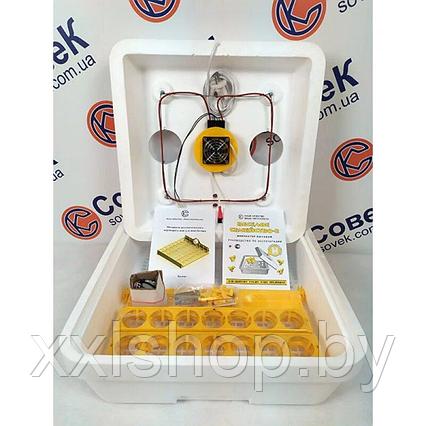 Инкубатор Веселое семейство 2ВПТ, фото 2