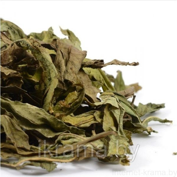 Листья иван-чая сушеные - фото 1 - id-p184740170
