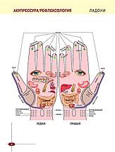 Акупрессура. Иллюстрированный атлас, фото 3