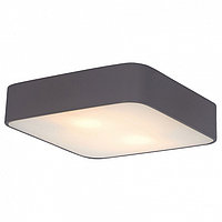 Накладной светильник Arte Lamp Cosmopolitan A7210PL-2BK