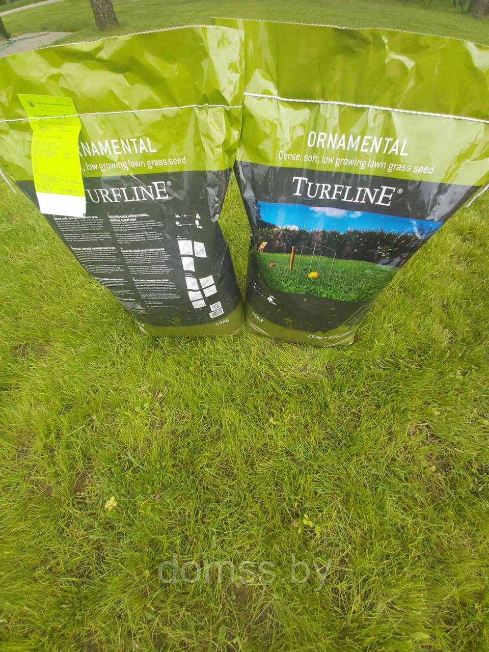 Семена Газонной травы Орнаментал, 10кг (Ornamental) DLF-Trifolium