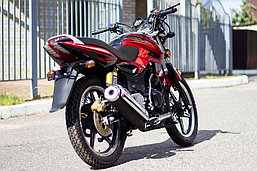 Мотоцикл RACER Magnum RC250-C5B 250cc, фото 3