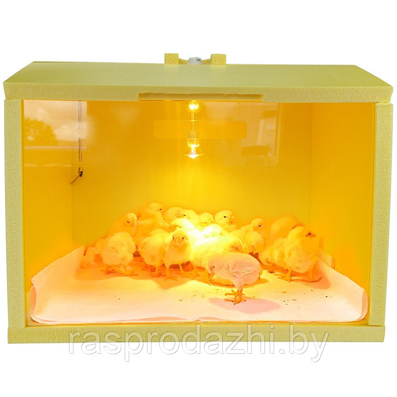 Автоматический брудер для цыплят SITITEK HD 50W Auto - фото 1 - id-p184844934