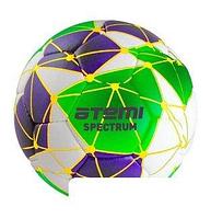 Футбольный мяч Atemi Spectrum (5 размер)