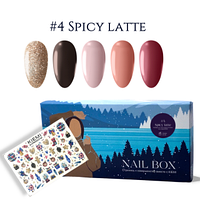 Набор Nail Box KIEMI WINTER №4 “SPICY LATTE”