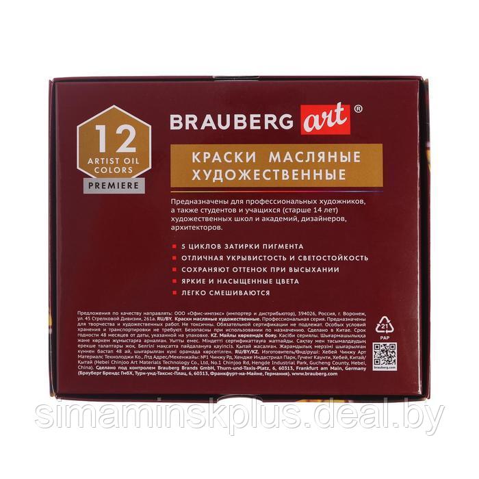 Краска масляная художественная, набор 12 цветов х 22 мл, Brauberg Art Premiere - фото 3 - id-p184872542