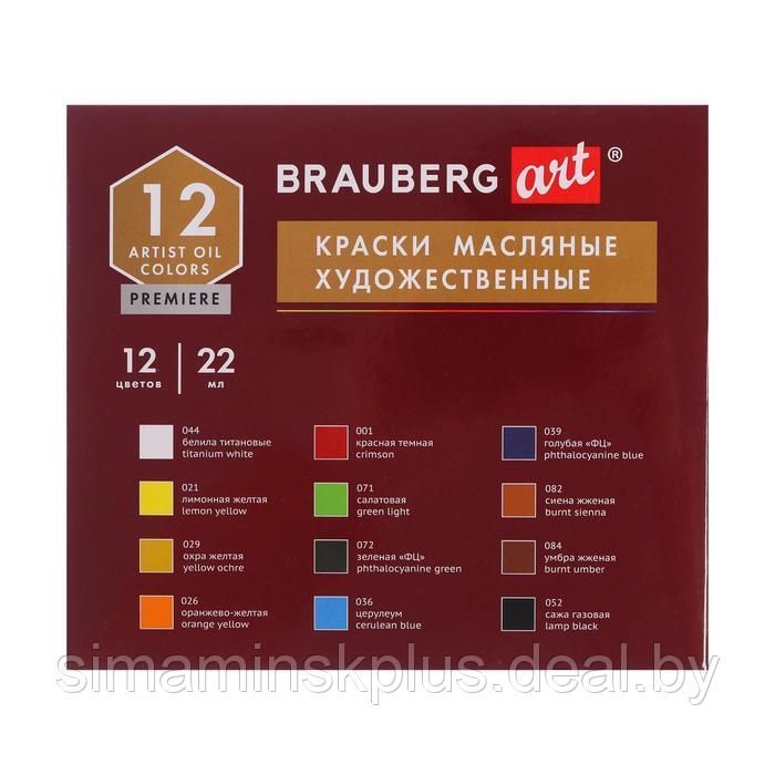 Краска масляная художественная, набор 12 цветов х 22 мл, Brauberg Art Premiere - фото 5 - id-p184872542