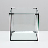 Аквариум "Куб", 64 литра, 40 х 40 х 40 см, фото 2