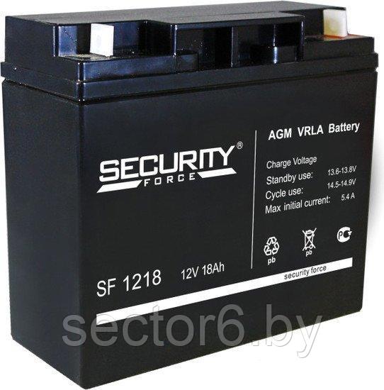 Аккумулятор для ИБП Security Force SF 1218 (12В/18 А·ч) - фото 1 - id-p184901666