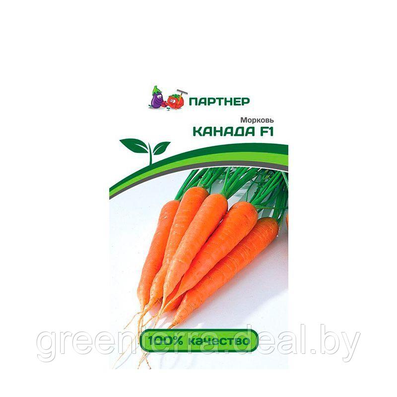 Морковь Канада F1 0.5 гр - фото 1 - id-p184932191