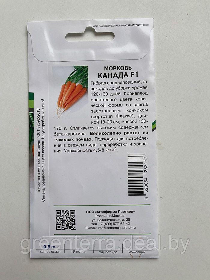 Морковь Канада F1 0.5 гр - фото 2 - id-p184932191