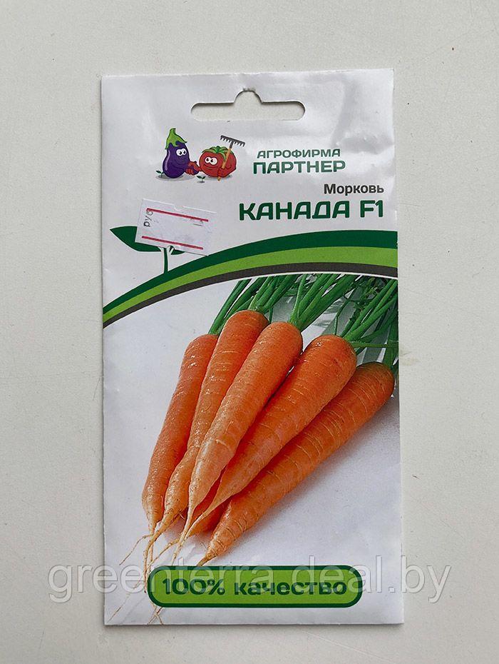 Морковь Канада F1 0.5 гр - фото 3 - id-p184932191