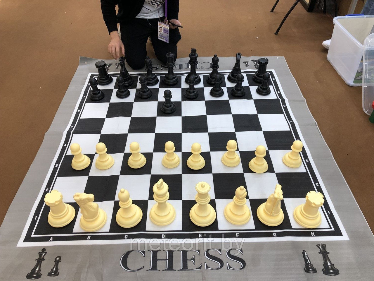 Напольные мини шахматы 21 классические с доской - фото 2 - id-p184947216