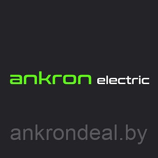 Новые акции в магазине Ankron electric